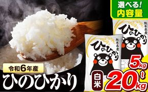 令和6年産  ひのひかり 白米 5kg 10kg 15kg 20kg 《7-14日以内に出荷予定(土日祝除く)》 熊本県産 白米 精米 氷川町 ひの 送料無料 ヒノヒカリ コメ 便利 ブランド米 お米 おこめ 熊本 SDGs---hkw_hn6_wx_25_13500_5kg_h---