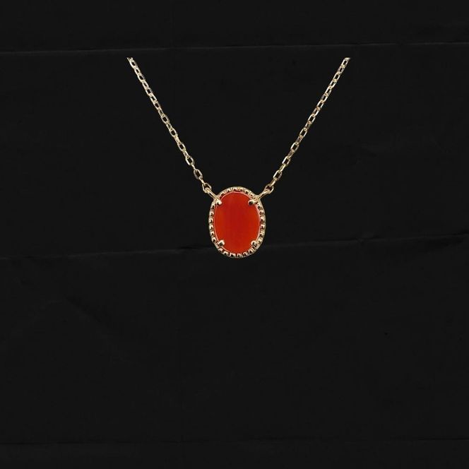 珊瑚 血赤珊瑚 サニーペンダント ネックレス K10イエローゴールド 天然 サンゴ 一点物 アクセサリー 厄除け お守り クリスマス バレンタイン 誕生日プレゼント 記念日 ホワイトデー ジュエリー 大人可愛い ギフト さんご サンゴ 高知県室戸市