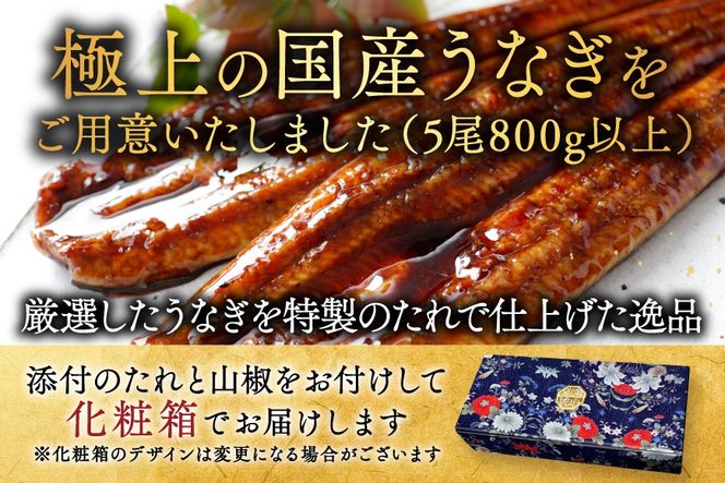 （6月）国産 大 特上うなぎ(160g×5尾)【OT000OB50_006】