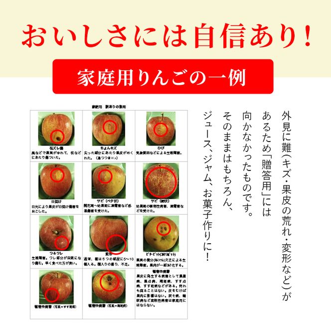【2026年発送】志賀高原の麓で育った シナノドルチェ （家庭用）約10kg りんご 10kg フルーツ 長野