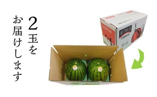 【 JA北つくば 】 こだますいか 「 スウィートキッズ 」 2玉 2026年産 スイカ 果物 フルーツ [AE005ci]