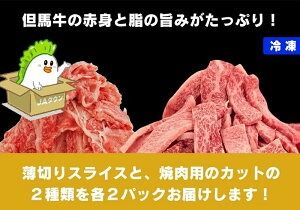 【ふるさと納税】但馬牛 がっせぇ盛り（スライス＆焼肉用・1kg）250g 2種 各2パック 合計4パック 小分け 肉 牛肉 お肉 スライス 薄切り 食べ比べ セット 赤身 バラ バラ肉 ばら 国産 黒毛和牛 和牛 焼肉 焼き肉 BBQ お取り寄せ 冷凍 兵庫県 新温泉町 送料無料