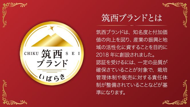 こだますいか 「 ピノ・ガール 」 2玉 2025年産 先行予約 筑西ブランド こだまスイカ 小玉スイカ すいか スイカ フルーツ 果物 [AF005ci]