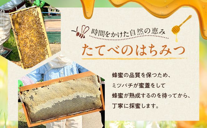 ＜ れんげ 蜂蜜 ＞と＜ 百花 蜂蜜 ＞の2点 セット はちみつ 加工食品 