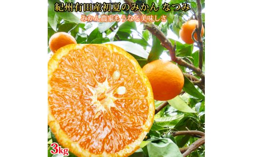 初夏のみかん なつみ3kg ※2027年4月中旬頃〜2027年4月末頃に順次発送予定(お届け日指定不可)[uot753B]