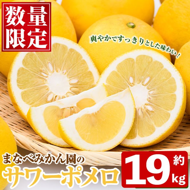 ＜先行予約受付中！2027年2月下旬以降順次発送予定＞まなべみかん園のサワーポメロ(約19kg) 国産 鹿児島県産 阿久根市産 柑橘類 果物 フルーツ 期間限定 数量限定 デザート 【有限会社まなべみかん園】akn034-22