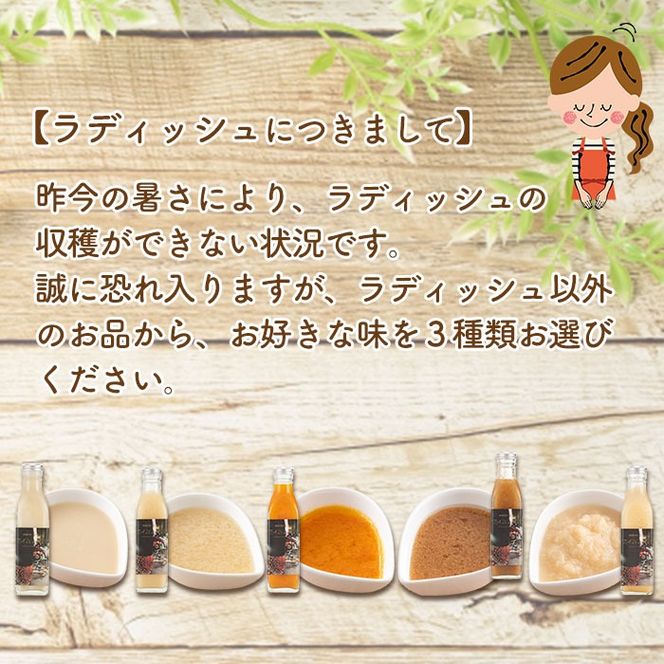 選べる！3種の手作り野菜サラダドレッシング(215ml×3本) a2-111