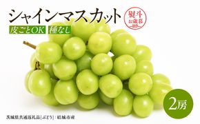 【お歳暮 熨斗付】 シャインマスカット 2房 【2026年12月より発送開始】 （茨城県共通返礼品 [ぶどう]：結城市産） 田舎の頑固おやじが厳選！ マスカット 種なし 大粒 高糖度 御歳暮 ギフト ぶどう 巨峰 フルーツ 甘い  [BI270-NT]