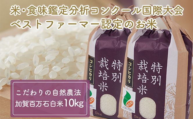  【令和7年度産】加賀百万石特別栽培米コシヒカリ白米10kg 