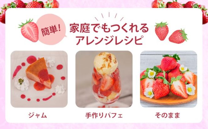 いちご うるう農園の冷凍あまおう 約2kg※配送不可：離島 