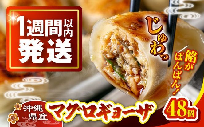 冷凍マグロギョーザ 48個(12個入り4パック) 餃子 冷凍 国産 マグロ 沖縄産 沖縄市 / 沖縄市漁業協同組合 パヤオ直売店[BCDZ011]