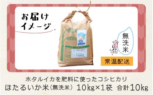 【訳あり】ほたるいか米（無洗米10kg）【通年発送】