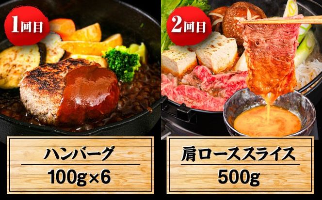 【全6回定期便】 博多和牛が 毎月2人前 届く！ 月替わり お楽しみ 定期便 （ハンバーグ / 肩ロース スライス / サーロイン ステーキ / カルビ / モモブロック / ヒレ ステーキ）  糸島市 / 幸栄物産 牛肉 セット 焼肉 すき焼き[ABH049]