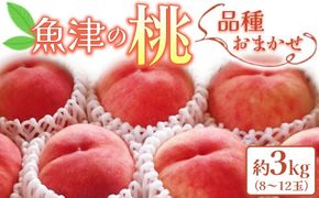 【先行受付】魚津の桃「品種おまかせ」約3kg ヴィータ・デ・フルッタ関口農園 ※2026年7月～発送