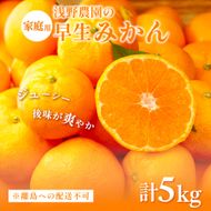 【先行予約】浅野農園の早生みかん 家庭用計5kg ※着日指定不可 ※離島への配送不可（2026年11月上旬～11月中旬頃に順次発送予定）IKTAC002