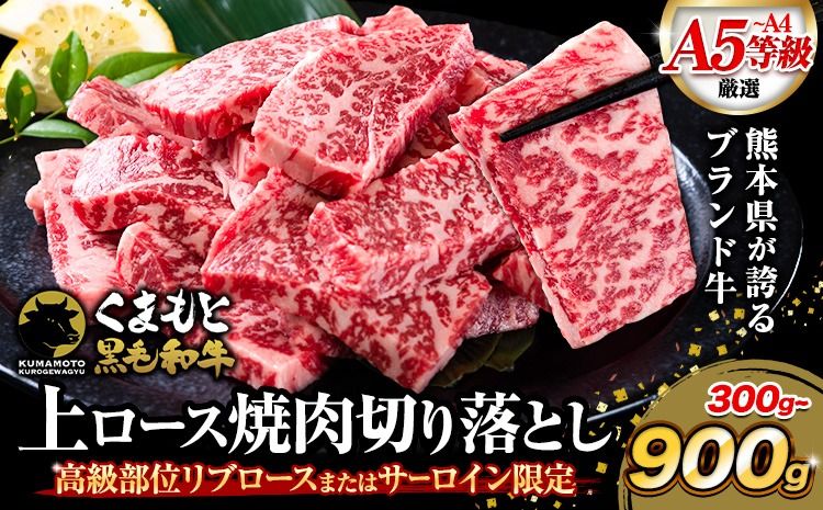 牛肉 A4〜A5等級 黒毛和牛 切り落とし くまもと黒毛和牛 上 ロース 焼肉切り落とし 300g 600g 900g[30日以内に出荷予定(土日祝除く)]熊本県 長洲町 上ロース 焼肉用 焼肉 肉 お肉 和牛 A5 A4 300g 小分け リブロース サーロイン---ng_fzyoursyk_30d_r7_10000_300g---