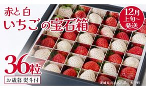 【 お歳暮 熨斗付き 】 赤いちご と 白いちご の宝石箱36粒 (茨城県共通返礼品：大子町) いちご 苺 果物 フルーツ 果実 贈答用 ギフト 贈り物