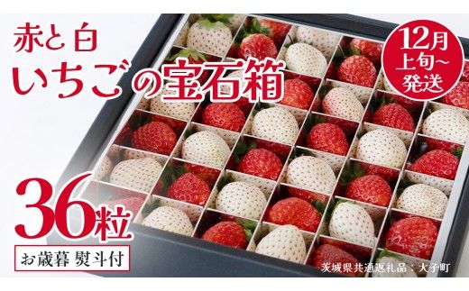 【 お歳暮 熨斗付き 】 赤いちご と 白いちご の宝石箱36粒 (茨城県共通返礼品：大子町) いちご 苺 果物 フルーツ 果実 贈答用 ギフト 贈り物