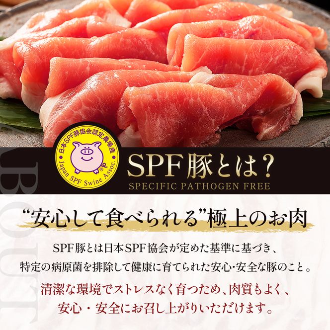 北海道産 SPF豚ロース 1kg×1袋 | 豚肉 ポーク 冷凍 厚さ約8mm 豚 ぶた肉 ブタ肉 豚ロース 肉 お肉 精肉 厚切り 熟成 北海道産 国産 とんかつ ポークソテー ステーキ カツ丼 カツカレー トンテキ 北海道 滝川市