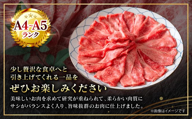 【A4～A5ランク】 【厳選部位】 くまもと黒毛和牛 サーロイン しゃぶしゃぶ すき焼き用 1kg （500g×2パック） 和牛 牛肉 お肉 黒毛和牛 鍋 冷凍 おかず 熊本県 八代市