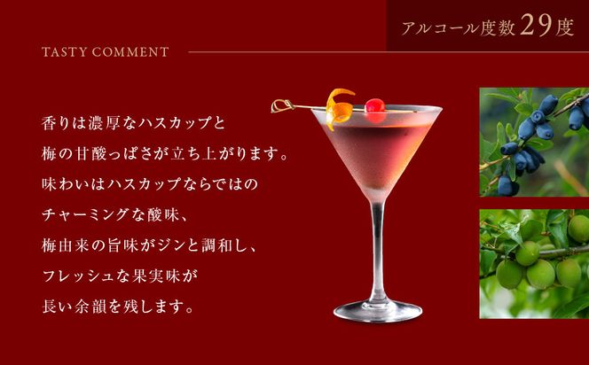 【京都蒸溜所】季の梅 京都プラムアンドベリーリキュール 700ml×2本  |プレミアム クラフトジン スピリッツ 人気セット［ 京都 お酒 ジン ドライジン スピリッツ 人気 おすすめ こだわり 蒸留 蒸留酒 蒸留所 ］ 261009_A-TC038