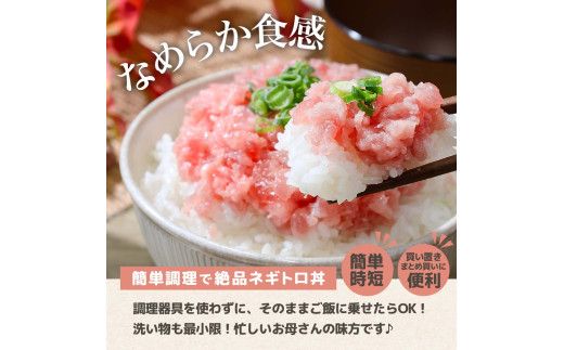 ネギトロ 訳あり 500ｇ（500ｇ×1袋）まぐろたたき ねぎとろ 小分け ネギトロ丼 鮪 海鮮 丼もの  訳アリ ワケあり 手巻き寿司 【株式会社大熊】 [BQAA025]