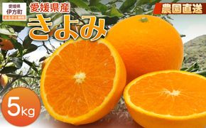 【栽培期間中農薬不使用】【先行受付】【数量限定】農園直送！愛媛県産 きよみ 5kg （2026年2月下旬頃より順次発送） IKTG021