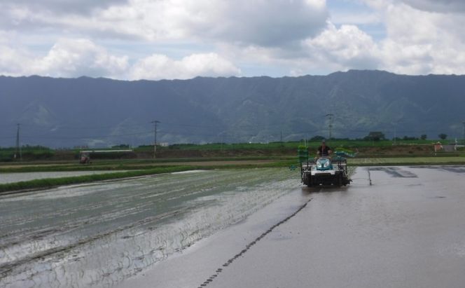 米 10kg 玄米 ゆめつくし お米 