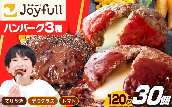 【福岡工場直送】ジョイフル ハンバーグ スペシャル 詰め合わせ 3種 30個セット 《築上町》【株式会社　ジョイフル】 [ABAA011]
