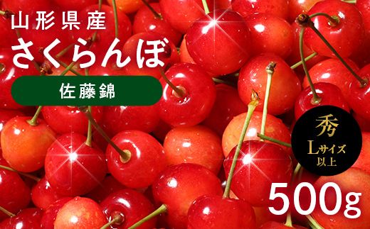 FYN6-616 ≪2027年先行予約≫山形県産 さくらんぼ 佐藤錦 500g 秀品 L以上 バラパック詰め 2027年6月中旬から順次発送 果物 くだもの フルーツ サクランボ チェリー 贈答 贈り物 ギフト プレゼント 自宅 家庭 産地直送 山形県 西川町 月山