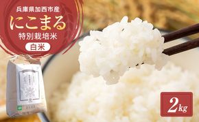 令和7年産 特別栽培米 にこまる 白米 2kg 精米 お米 こめ コメ ごはん ご飯 単一原料米