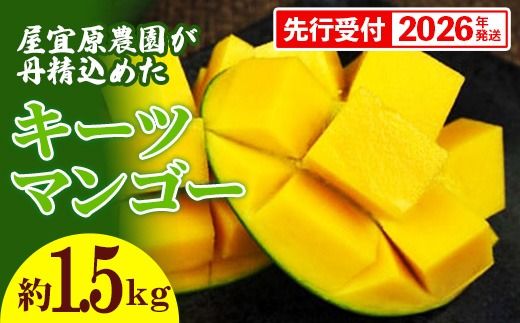 yꌧdzystzy2026NzX_O߂uL[c}S[v1.5kg - s\  Yn 썑t[c {̖o ꌧY Y}S[ 󏭎 G߂̉ʕ ꌧ d