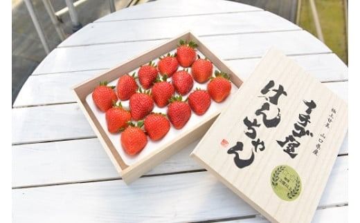 yRRszD326 C`S񂿂񍂓x˔@