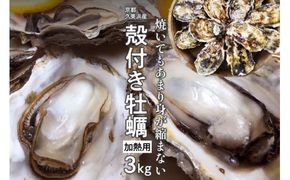 京都・久美浜産　殻付き牡蠣　3kg（30個前後）【加熱用】牡蠣ナイフ付　MN00065