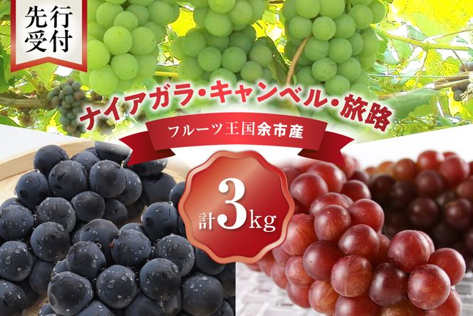 【先行予約：2026年9月中旬以降発送】フルーツ王国余市産「旅路・ナイアガラ・キャンベル」3kg【ニトリ観光果樹園】_Y074-0128