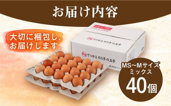 【年内発送】てつやとのりこの玉子 【 40個 】 糸島市 / 板垣ファーム 卵 たまご 鶏卵[AWD019]