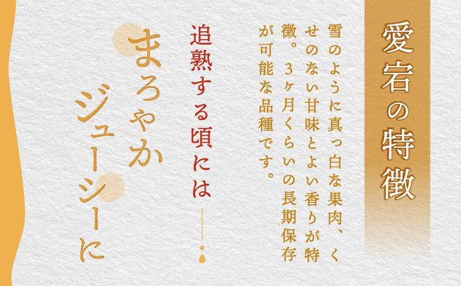 【先行予約】群馬県産ジャンボ梨「愛宕」2個(1個あたり約1.2～1.3Kg)【11月中旬～12月下旬発送予定】ANAH002