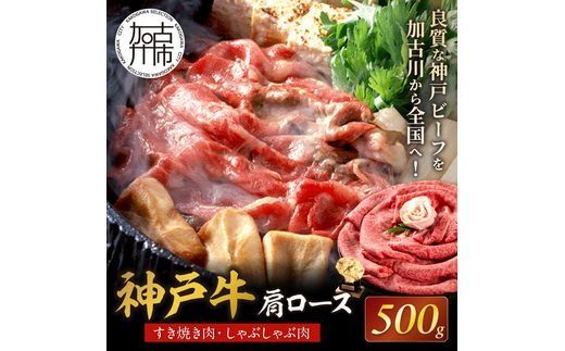 神戸牛肩ロースすき焼き肉・しゃぶしゃぶ肉(500g)《 神戸牛 自社牧場直送 国産 肉のヒライ 肩ロース すき焼き しゃぶしゃぶ プレゼント ギフト 送料無料 おすすめ 》【2403A00114】