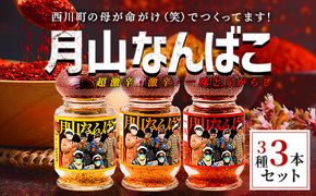 FYN9-644 山形県 西川町産 唐辛子使用！ 月山なんばこ 3種3本セット(超激辛・激辛・一味) 調味料 食品 香辛料 スパイス 唐辛子 とうがらし 辛い 手作り 命がけ 山形県 西川町 月山
