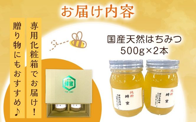 はちみつ 国産 蜂蜜 ハチミツ 1kg 国産 天然 はちみつ 500g×2本 計1kg 福岡県 福岡 九州 グルメ お取り寄せ