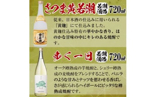＜入金確認後、2週間以内に発送！＞志布志焼酎「志」若潮セット 計4本(4種、720ml・900ml) a9-057-2w