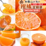 家庭用 柑橘定期便M（偶数月）全6回 ［IKE309］ 303446_BB90218