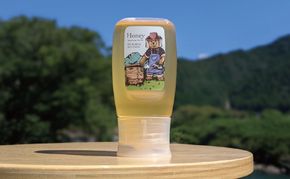 合計300g 天然蜂蜜 国産蜂蜜 非加熱 生はちみつ 岐阜県 美濃市産  (蜂蜜300g入りピタッとボトル1本)A9 深田養蜂のハチミツ