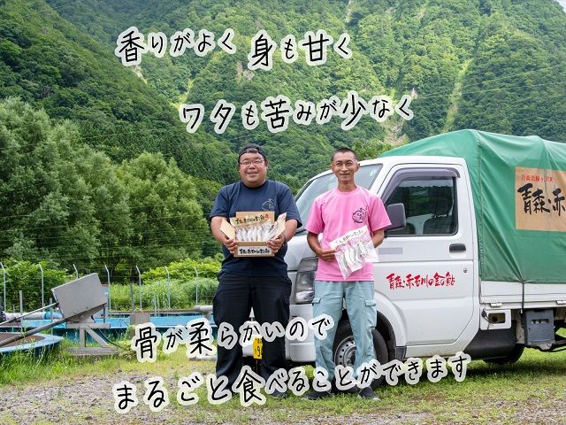 子持ち鮎 5尾 2パック セット 詰め合わせ 赤石川の金の鮎 真空冷凍パック 冷凍 鮎 あゆ アユ 魚 川魚 魚介 魚介類 海鮮 海鮮セット おかず おつまみ つまみ お酒のつまみ 酒のつまみ 夕飯 青森 青森県 鰺ヶ沢町