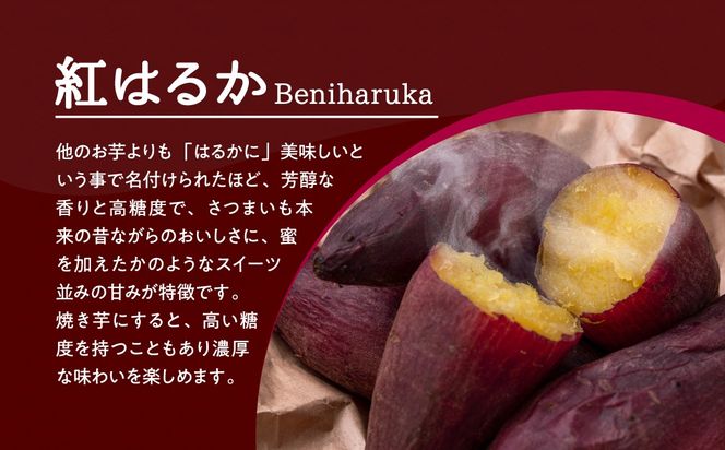 土付き さつまいも 「紅はるか」 5㎏ いも 芋 サツマイモ 焼き芋 