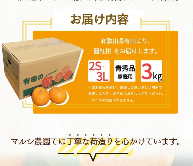 BF6063_【2027年先行受付】麗紅柑 (れいこう) 青秀品 (家庭用) 2S～3Lサイズ 3kg 和歌山有田産