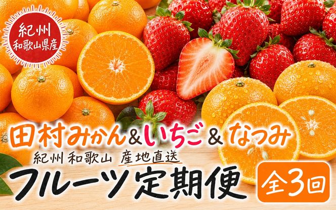 【全3回】紀州和歌山産旬のフルーツ定期便 (田村みかん・いちご・なつみ) 【tkb374】