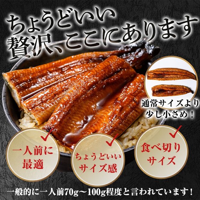 【0074336a】＜食べきりサイズ！＞東串良町のうなぎ蒲焼(無頭)(計2尾・計約200g・タレ、山椒付) うなぎ 蒲焼長焼 ウナギ 鰻 蒲焼き 国産うなぎ 国産 九州産 鹿児島 鹿児島県産 人気 ランキング 高級 家庭用 おすすめ たれ さんしょう 【アクアおおすみ】