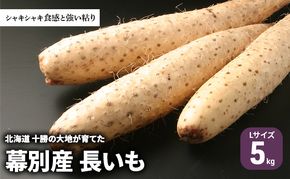北海道 十勝の大地が育てたシャキシャキ食感と強い粘り 幕別産 長いも Lサイズ 5kg ［木川商店］【 長いも 長芋 ながいも ナガイモ とろろ 芋 いも 野菜 10kg 5kg  産地直送 旬 濃厚 北海道 十勝 幕別 】 
