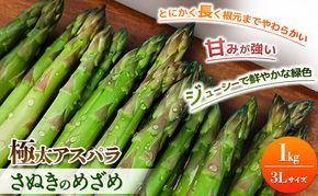 期間限定！極太アスパラ 【さぬきのめざめ1kg】  3Lサイズ 野菜セット 野菜 アスパラガス 